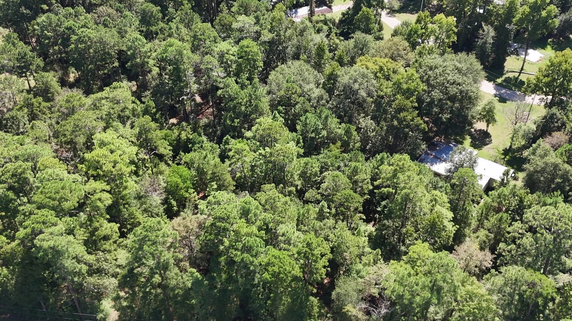 Lot 226 Canyon Drive Onalaska TX 77360