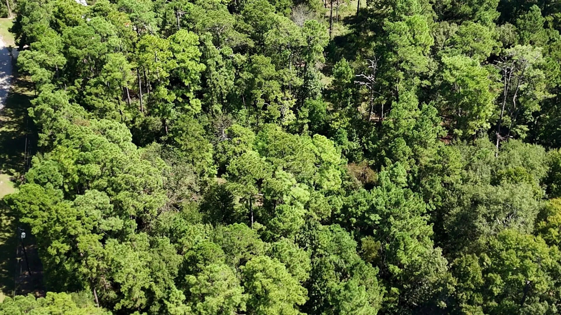 Lot 226 Canyon Drive Onalaska TX 77360