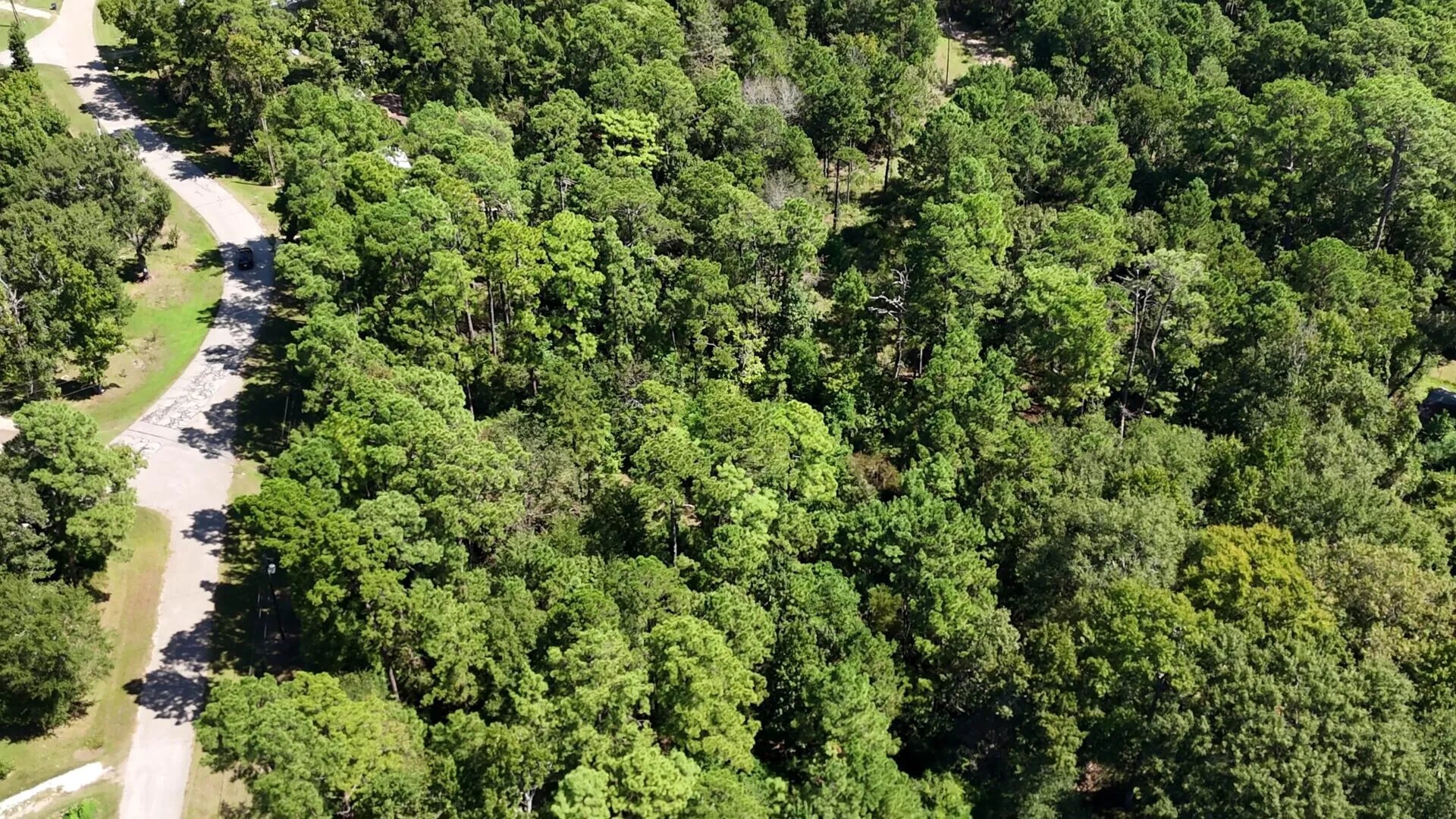 Lot 226 Canyon Drive Onalaska TX 77360