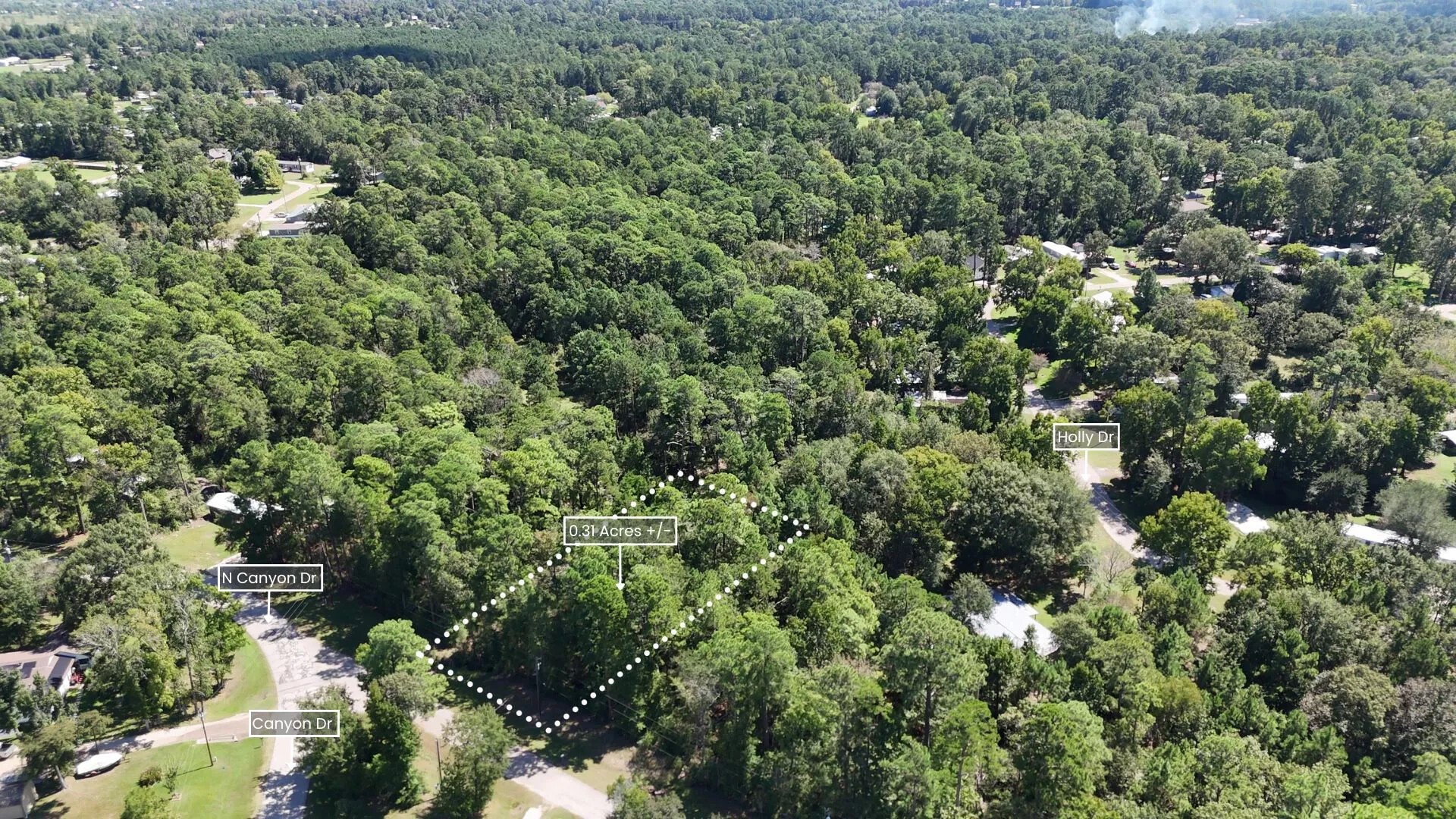 Lot 226 Canyon Drive Onalaska TX 77360