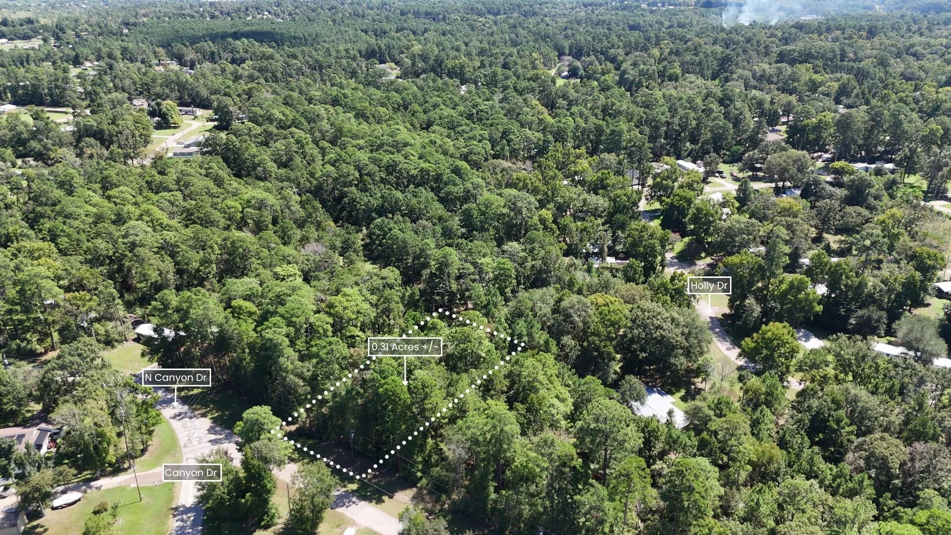 Lot 226 Canyon Drive Onalaska TX 77360