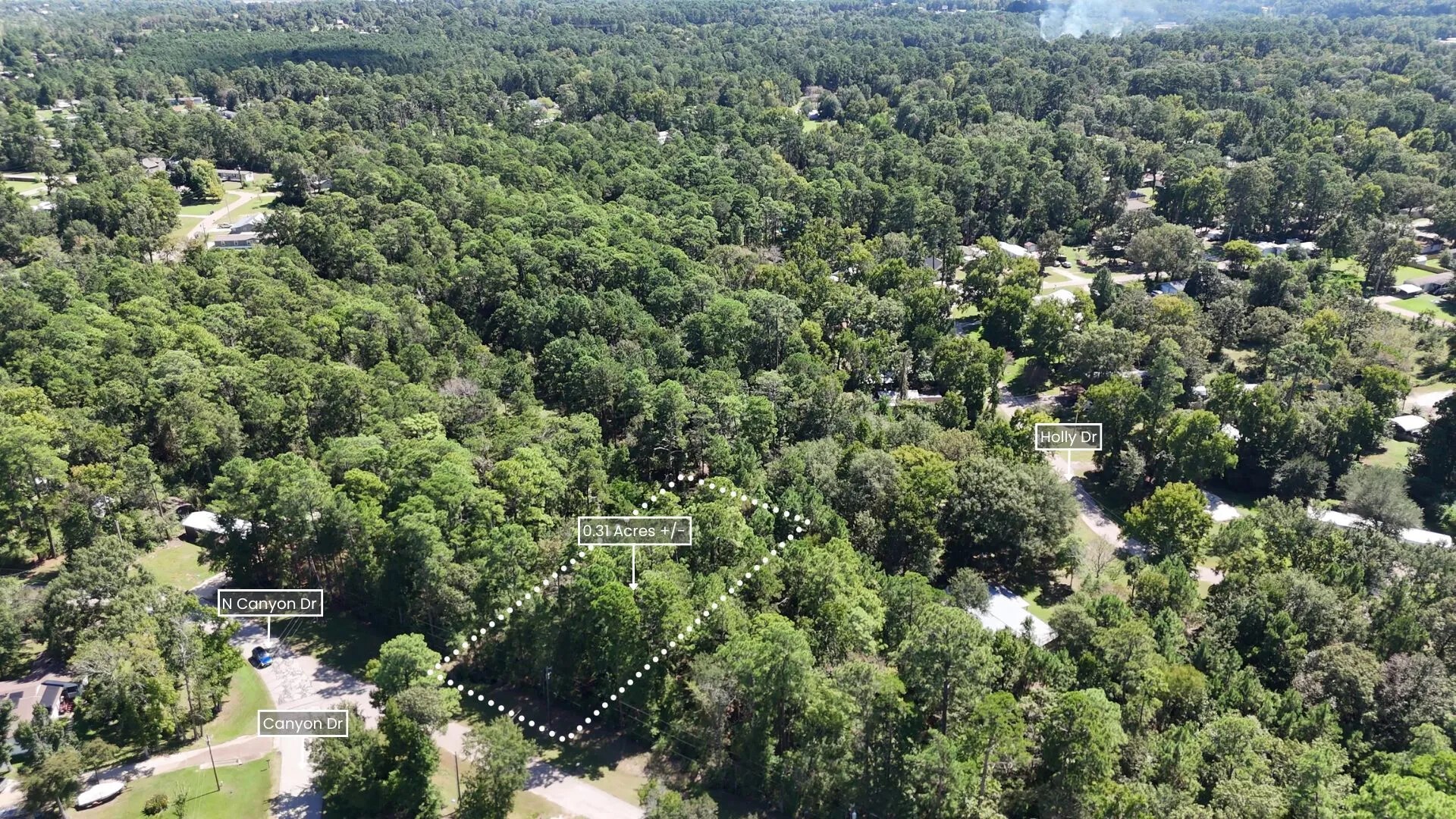Lot 226 Canyon Drive Onalaska TX 77360