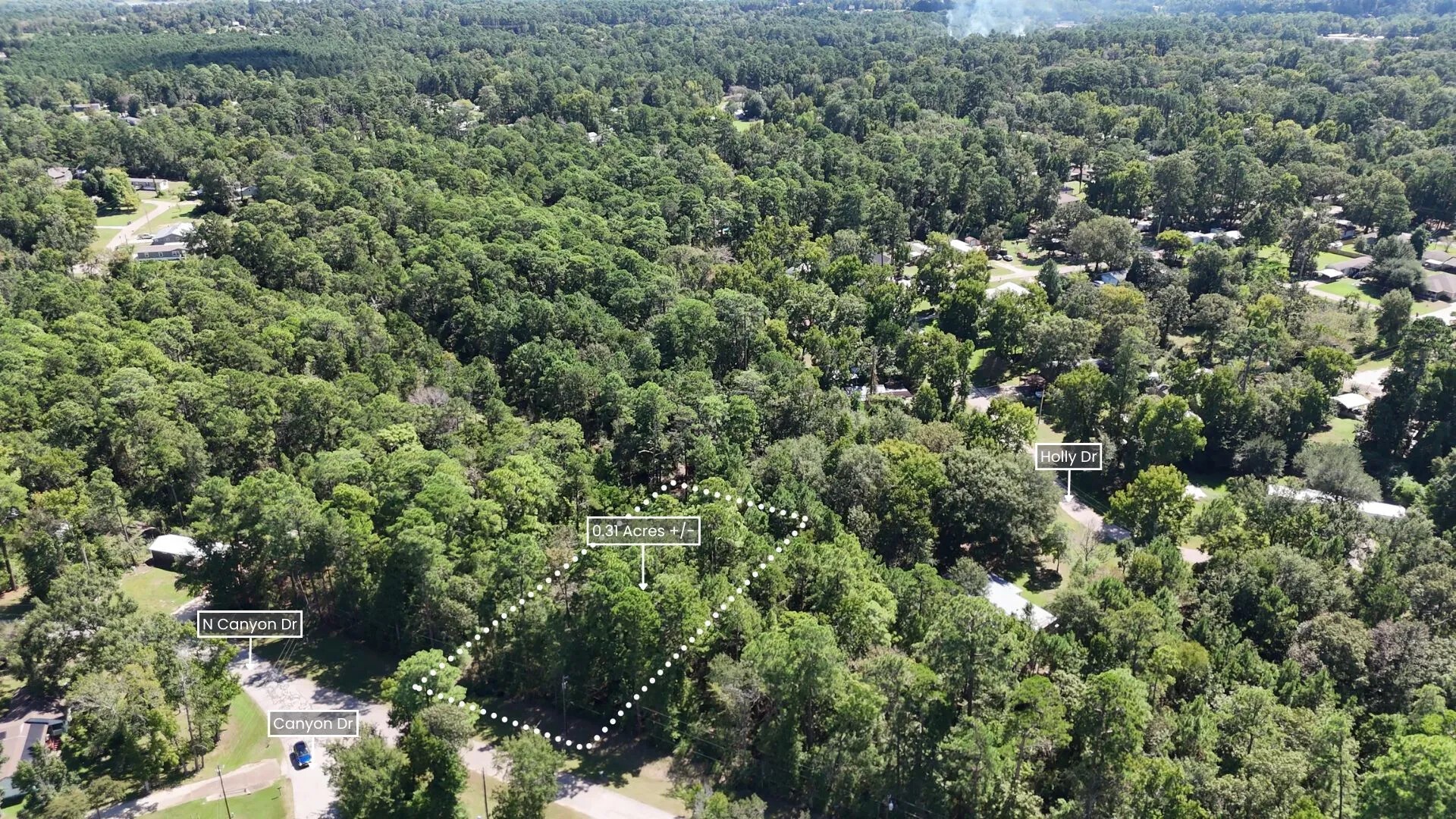 Lot 226 Canyon Drive Onalaska TX 77360