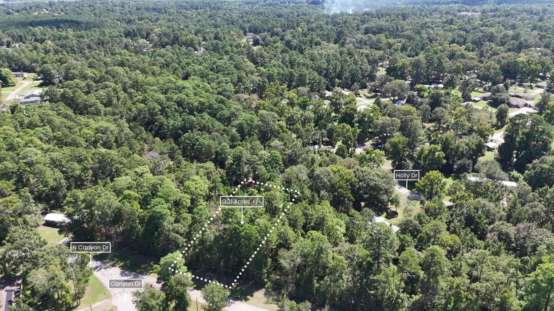 Lot 226 Canyon Drive Onalaska TX 77360