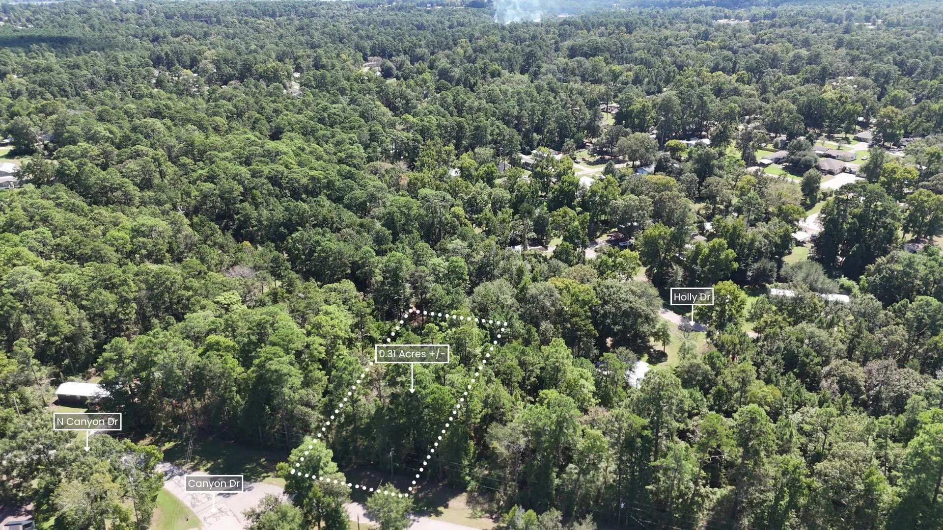 Lot 226 Canyon Drive Onalaska TX 77360