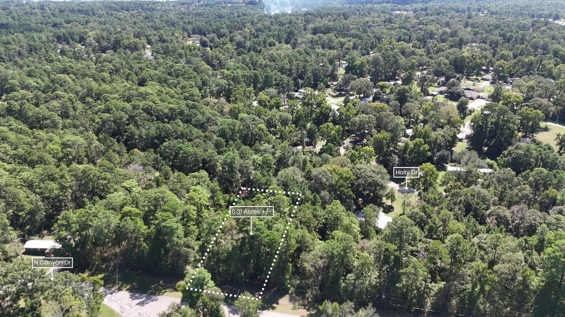 Lot 226 Canyon Drive Onalaska TX 77360