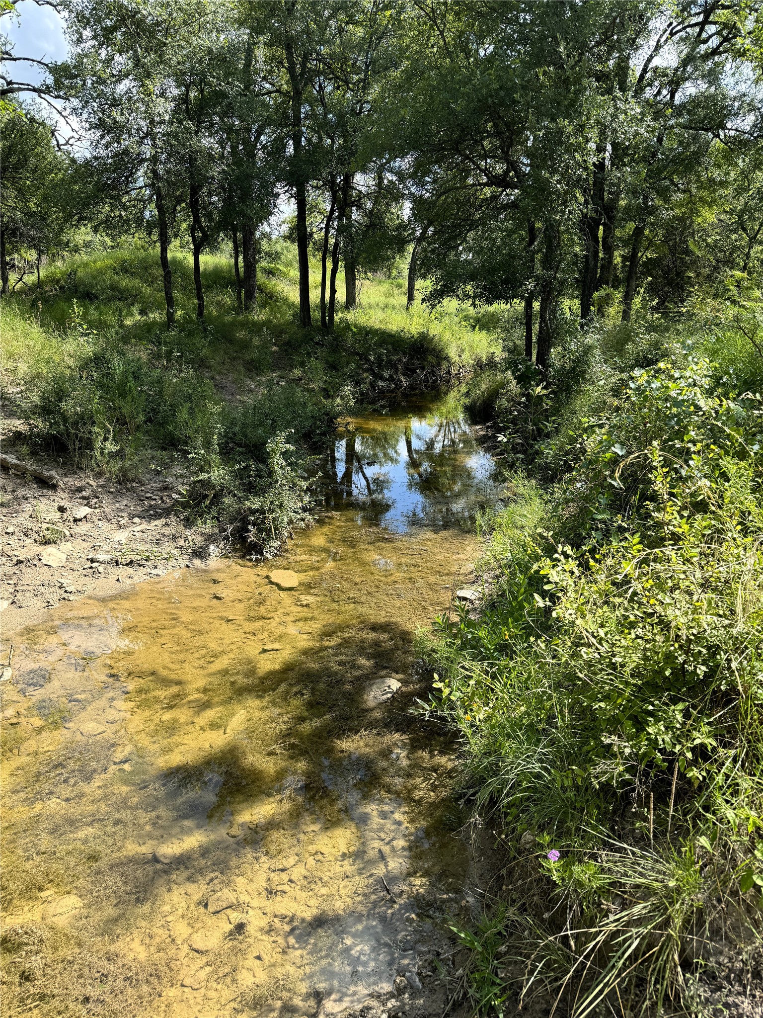 342 Tatanka Trail Gustine TX 76455