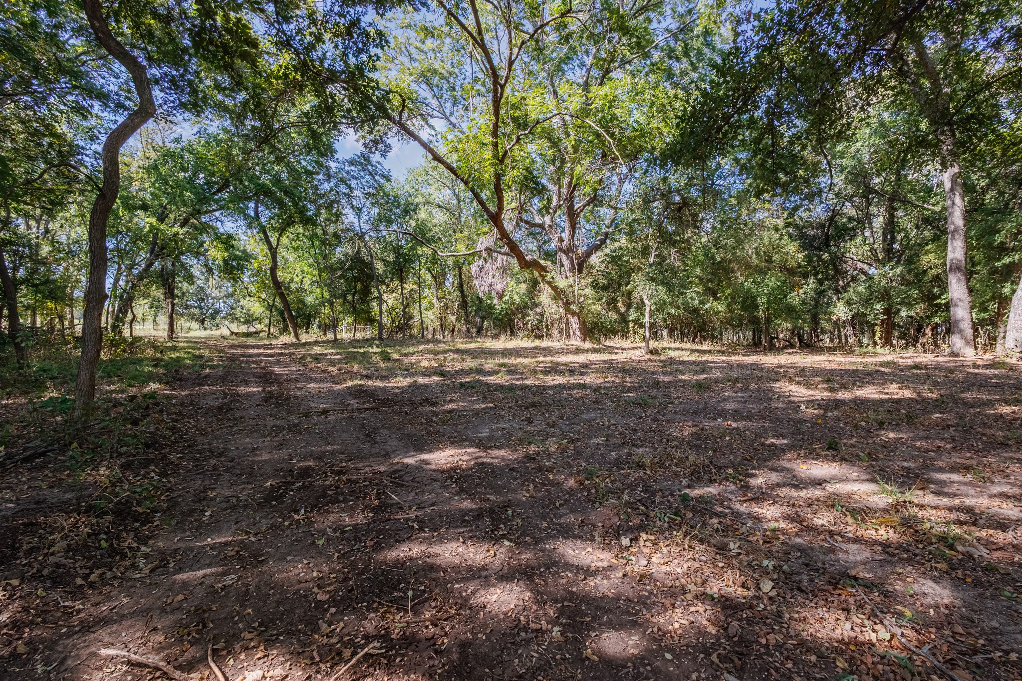 342 Tatanka Trail Gustine TX 76455