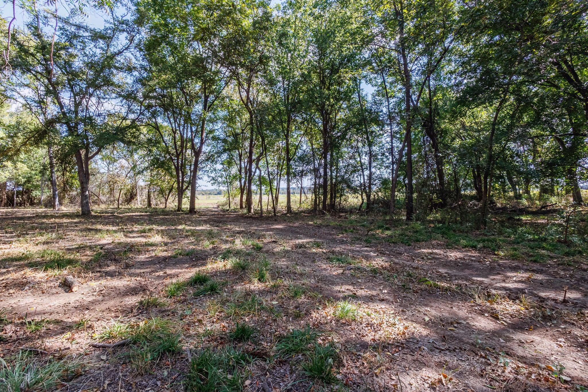 342 Tatanka Trail Gustine TX 76455