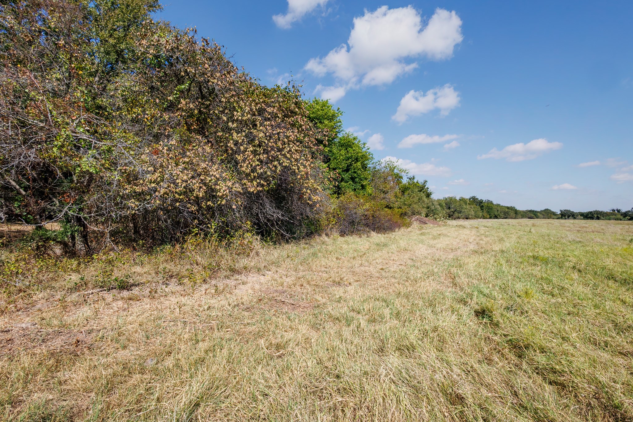 342 Tatanka Trail Gustine TX 76455