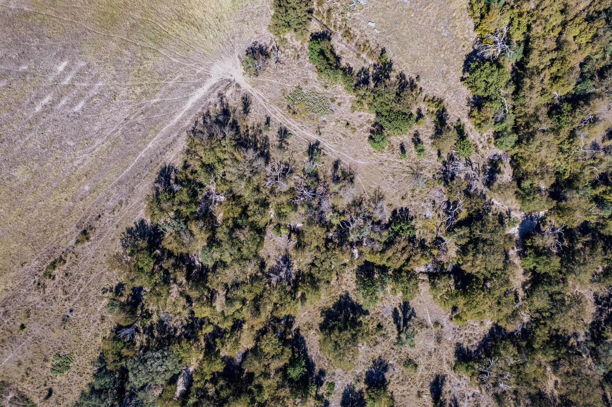 342 Tatanka Trail Gustine TX 76455