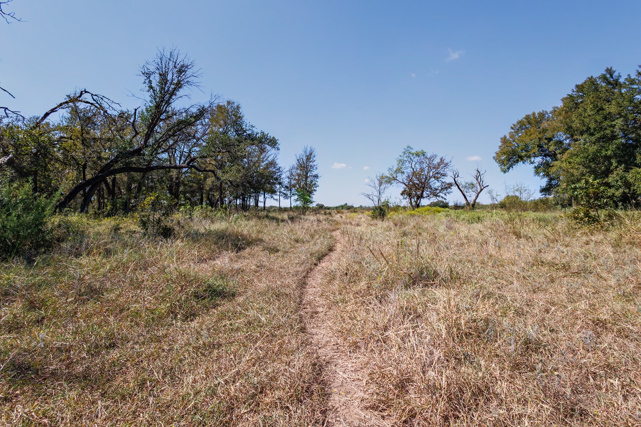 342 Tatanka Trail Gustine TX 76455