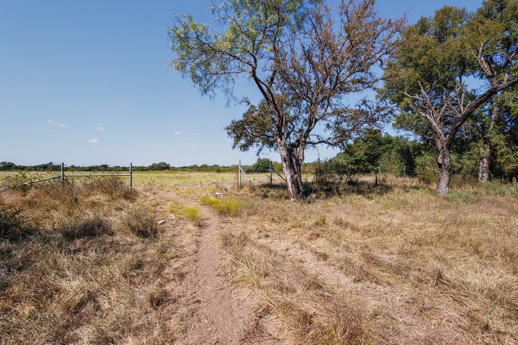 342 Tatanka Trail Gustine TX 76455
