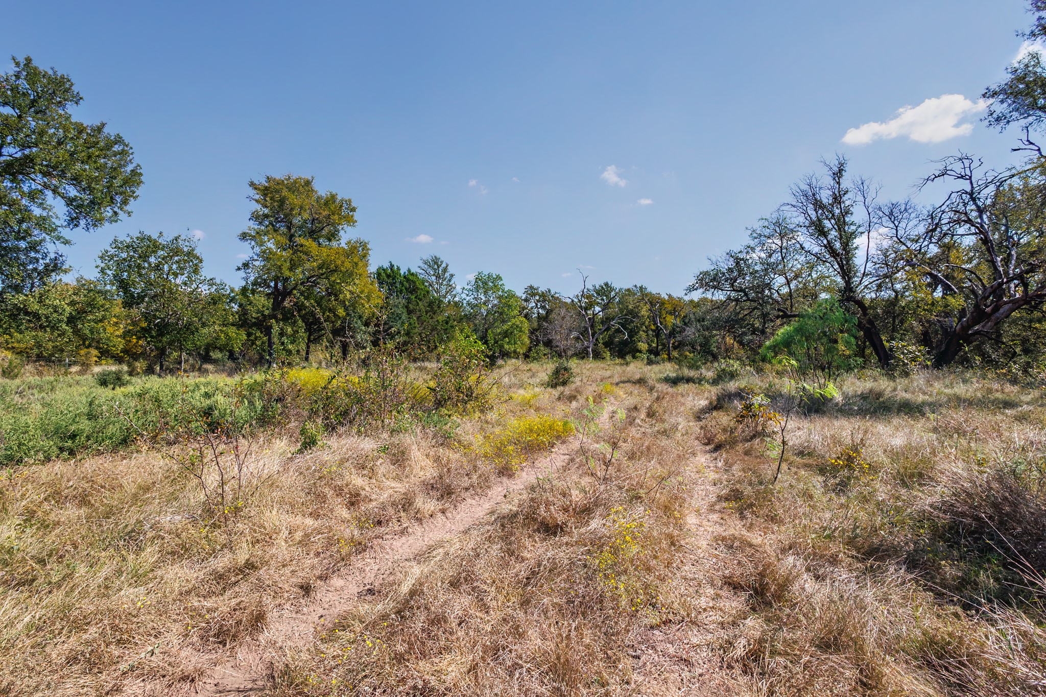 342 Tatanka Trail Gustine TX 76455