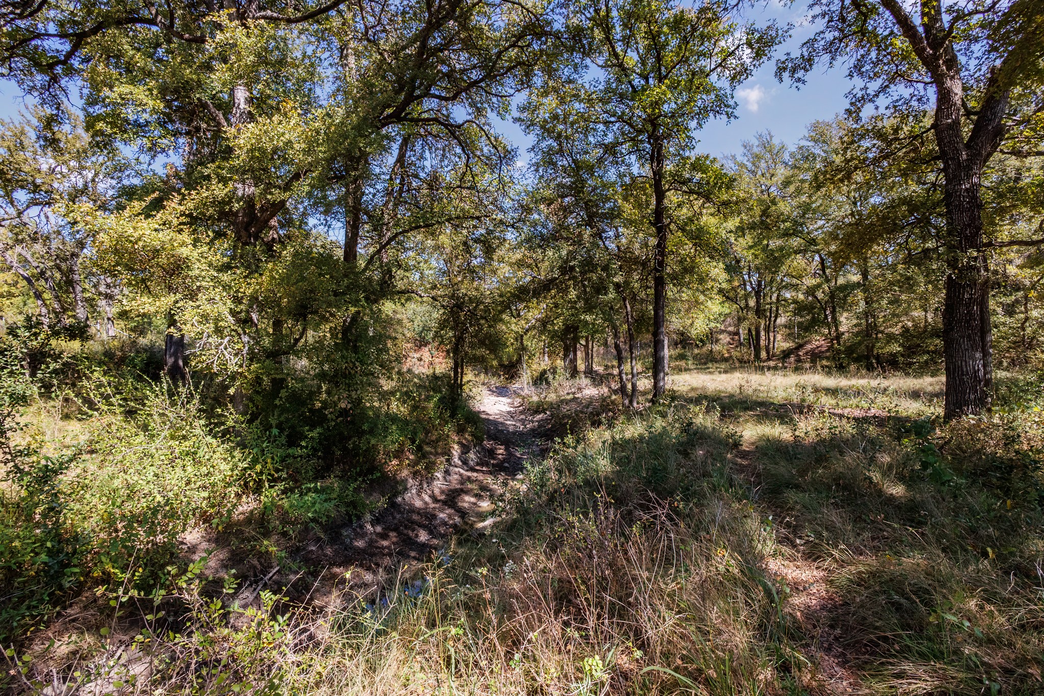342 Tatanka Trail Gustine TX 76455