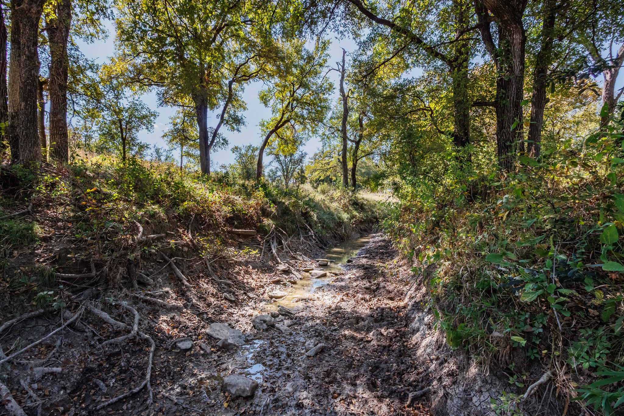342 Tatanka Trail Gustine TX 76455