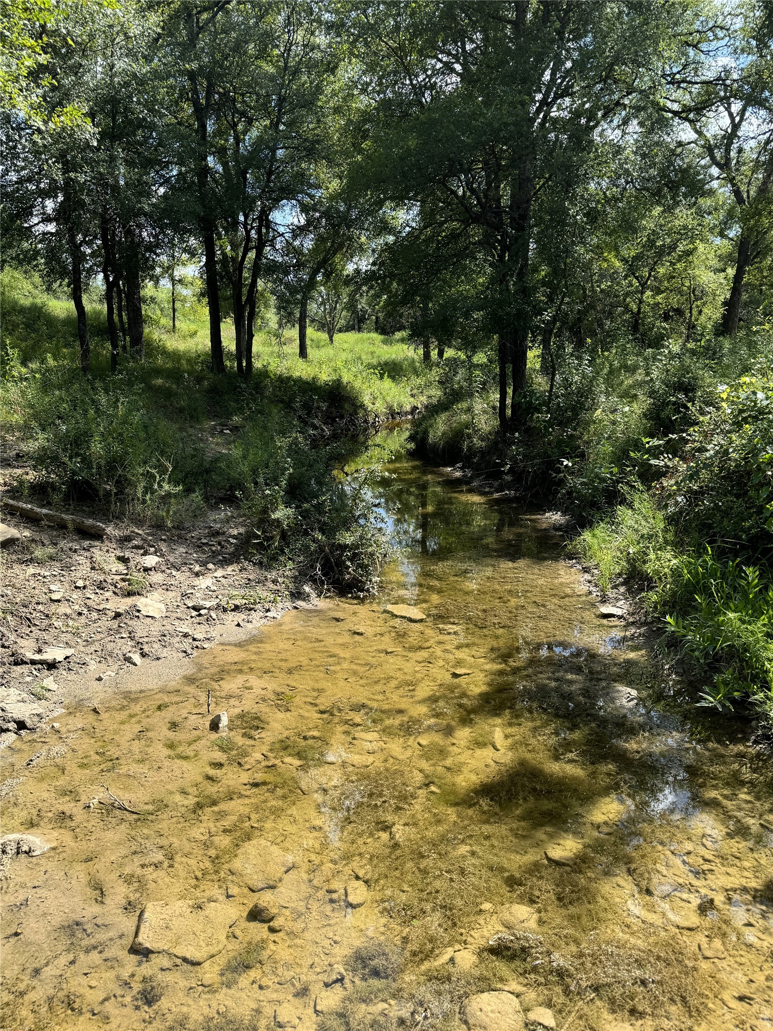 342 Tatanka Trail Gustine TX 76455