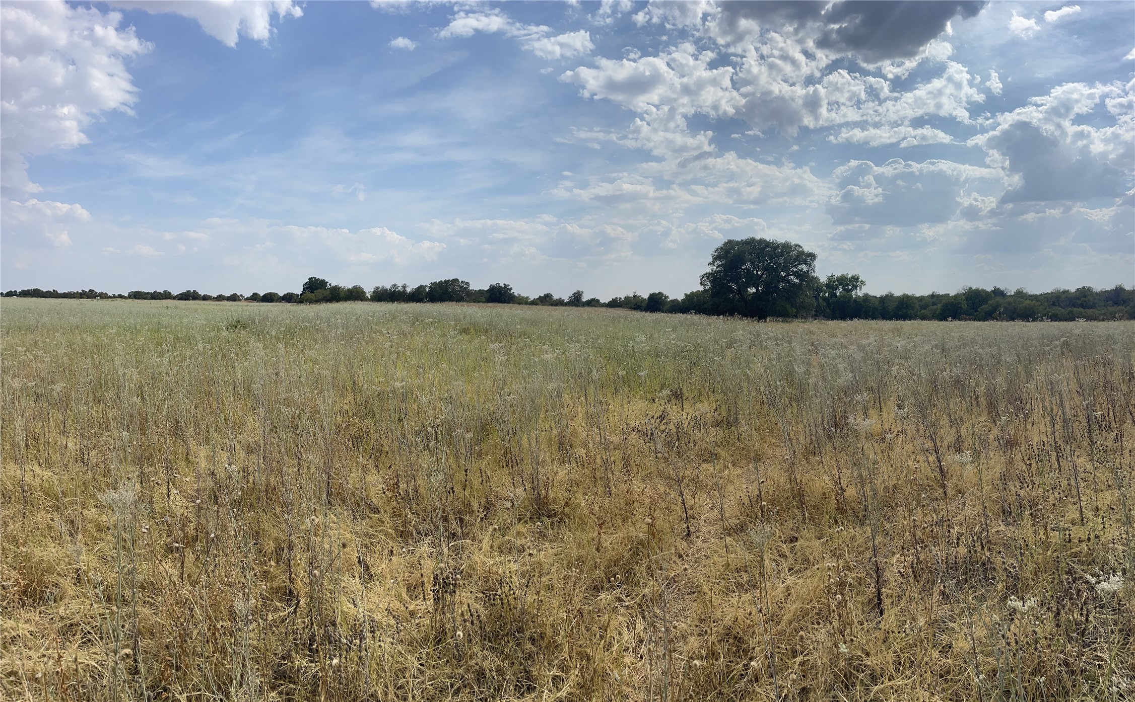 Lot 8 Blue Lacy Lane Anson TX 79501