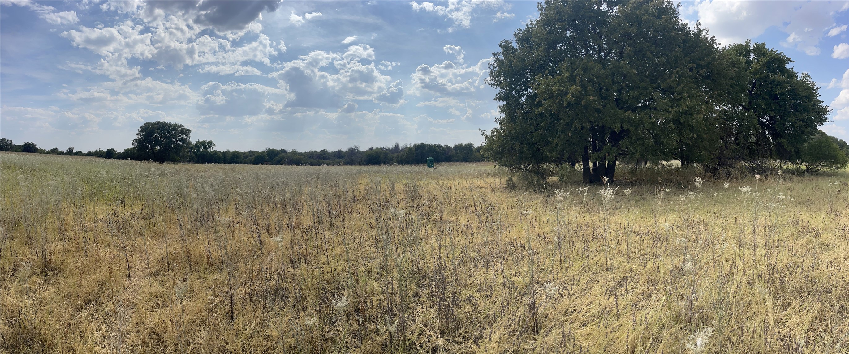 Lot 8 Blue Lacy Lane Anson TX 79501