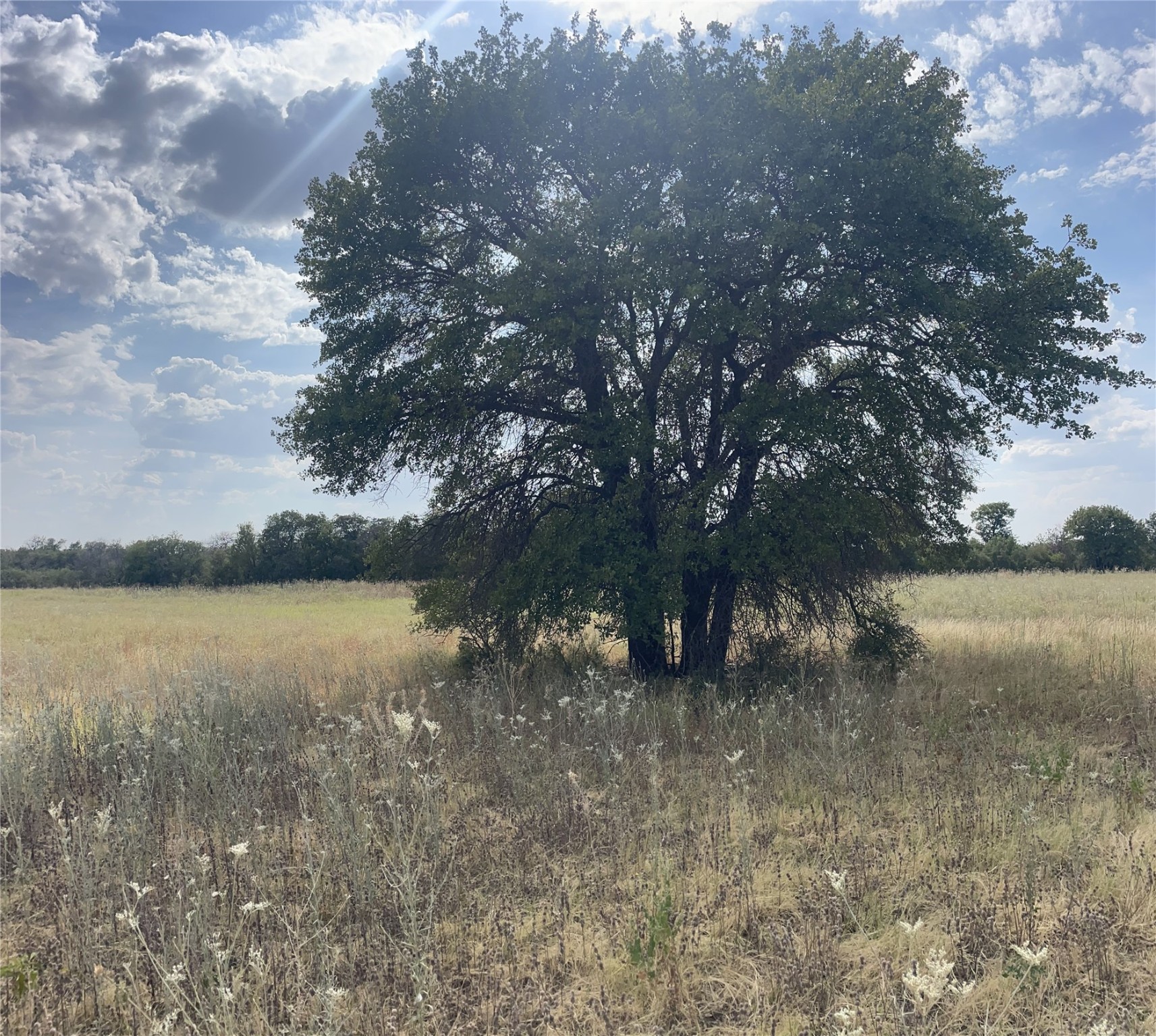 Lot 8 Blue Lacy Lane Anson TX 79501