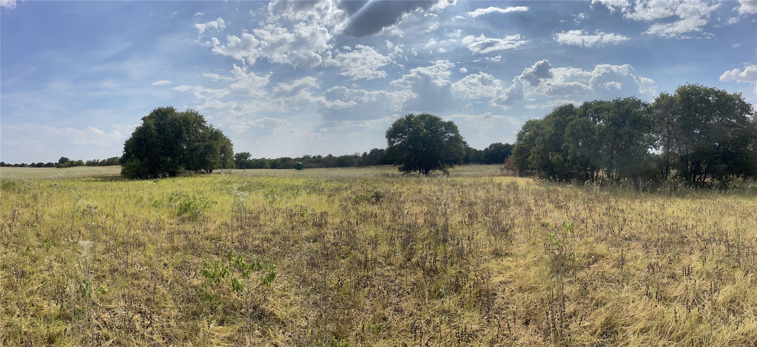 Lot 8 Blue Lacy Lane Anson TX 79501