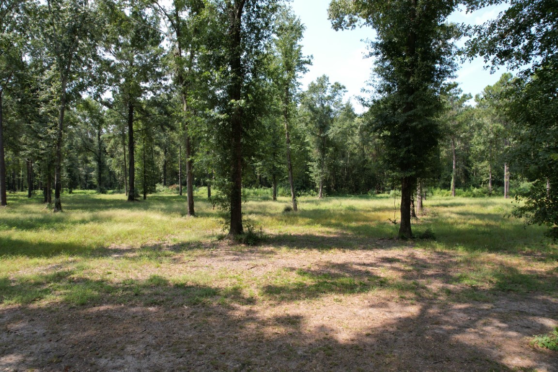 Tbd (Lot 2) County Road 3545 Joaquin TX 75954