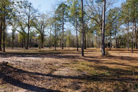 Tbd (Lot 2) County Road 3545 Joaquin TX 75954