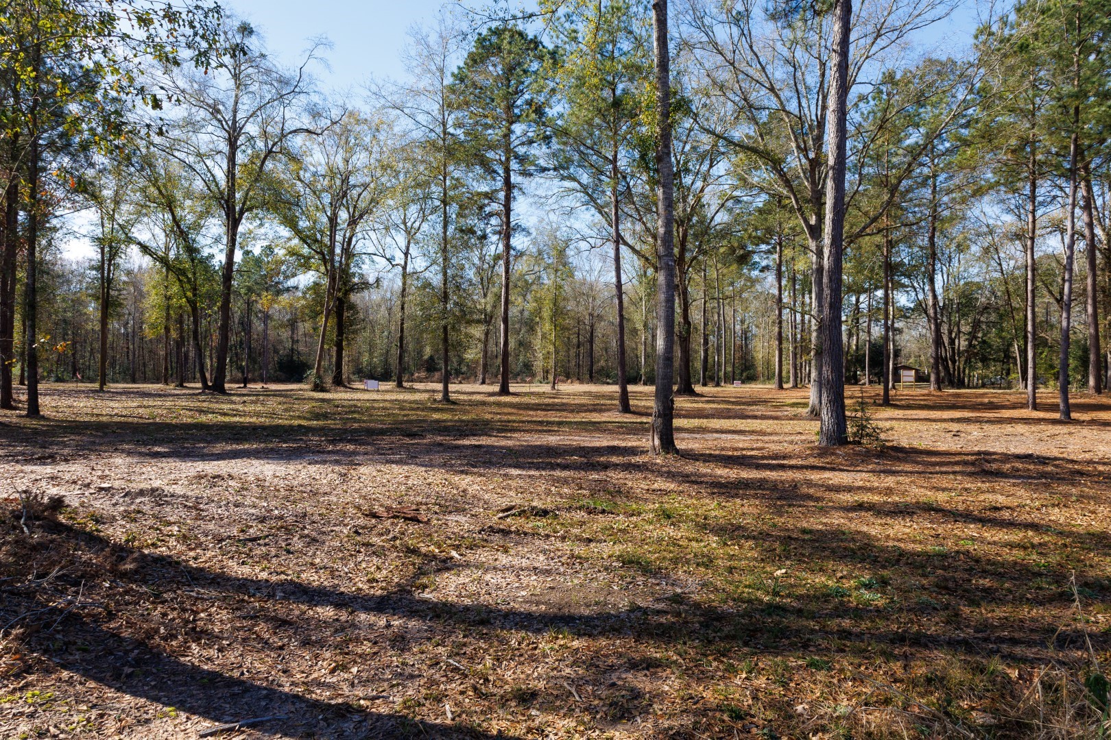 Tbd (Lot 2) County Road 3545 Joaquin TX 75954