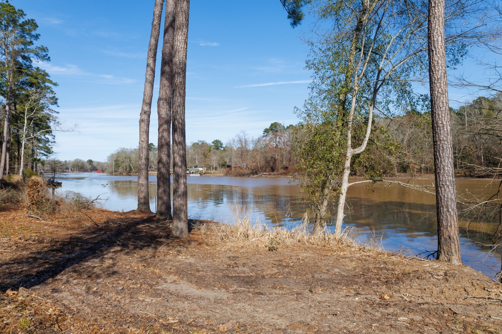 Tbd (Lot 2) County Road 3545 Joaquin TX 75954