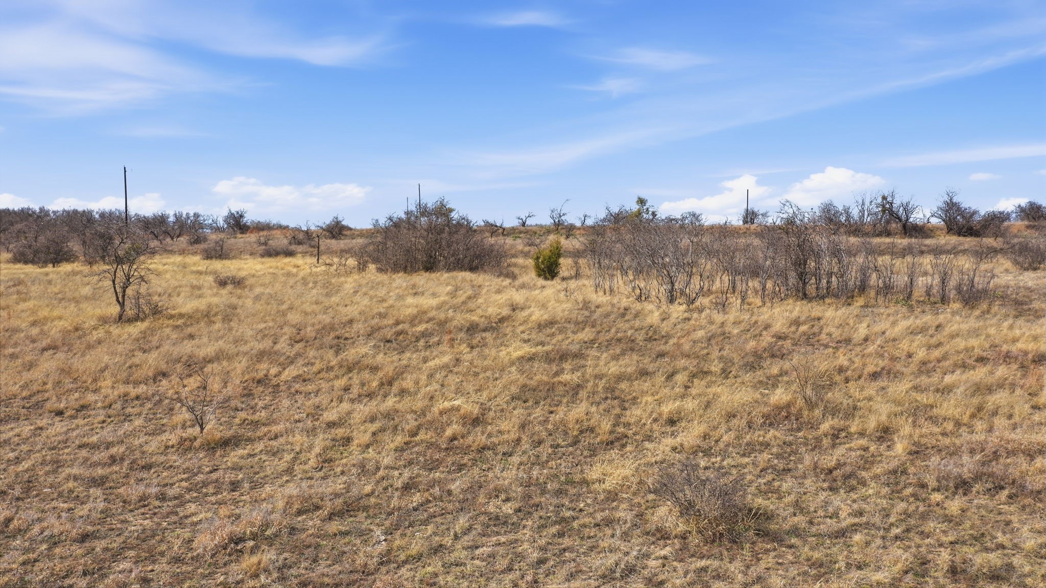 Lot 44 County Road 266 Gustine TX 76455
