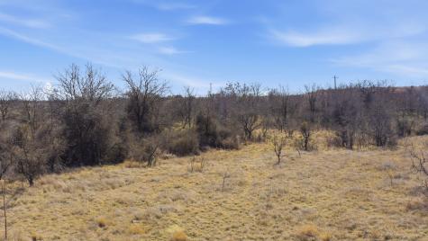 Lot 44 County Road 266 Gustine TX 76455