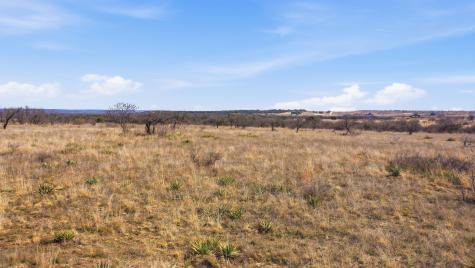 Lot 44 County Road 266 Gustine TX 76455