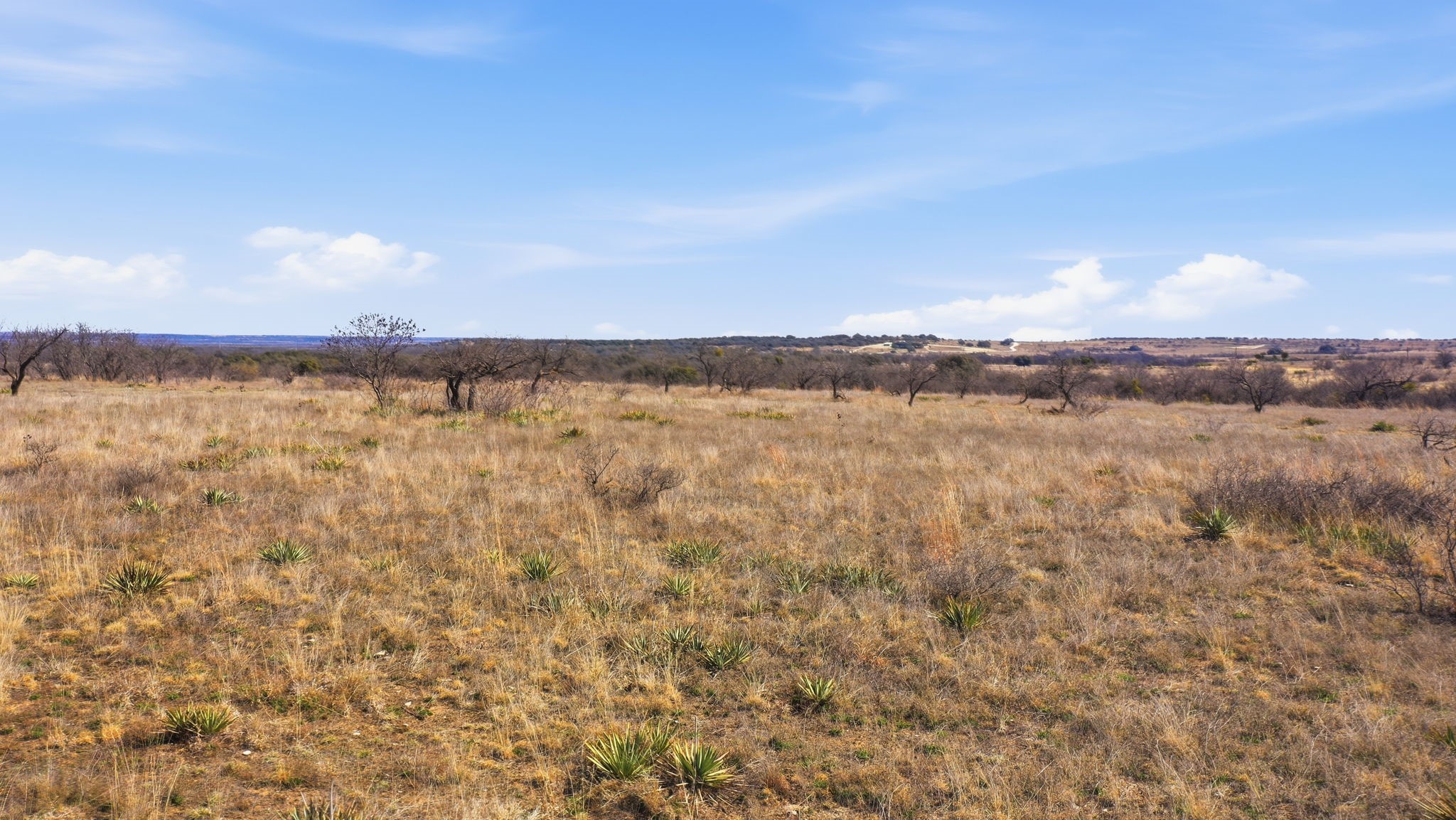 Lot 44 County Road 266 Gustine TX 76455