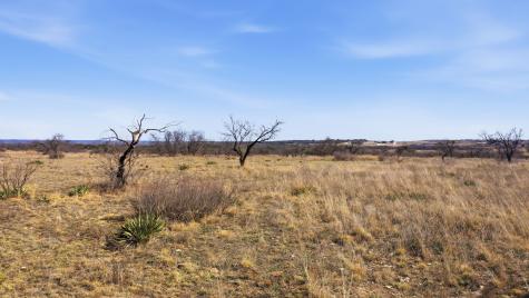Lot 44 County Road 266 Gustine TX 76455