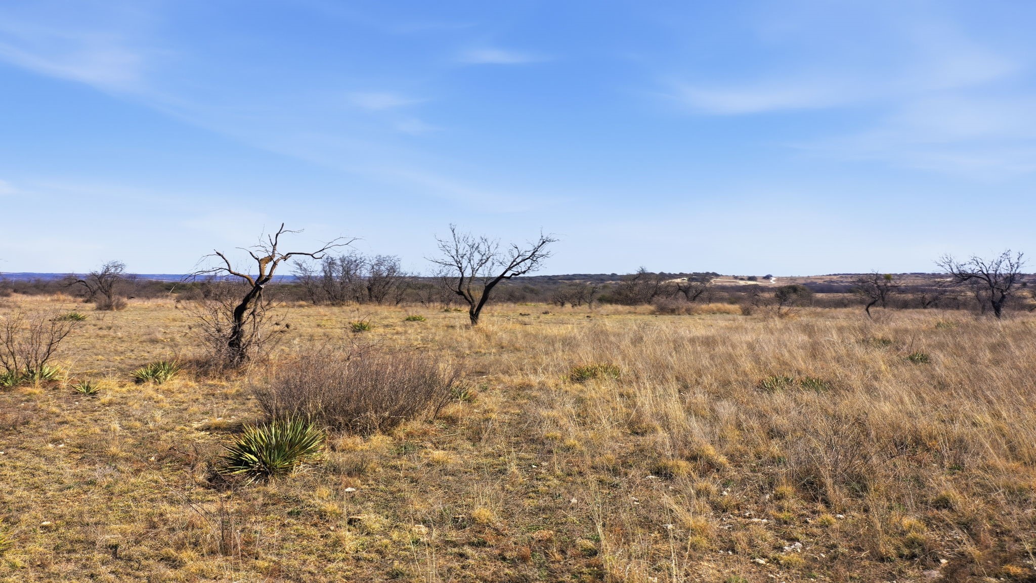 Lot 44 County Road 266 Gustine TX 76455