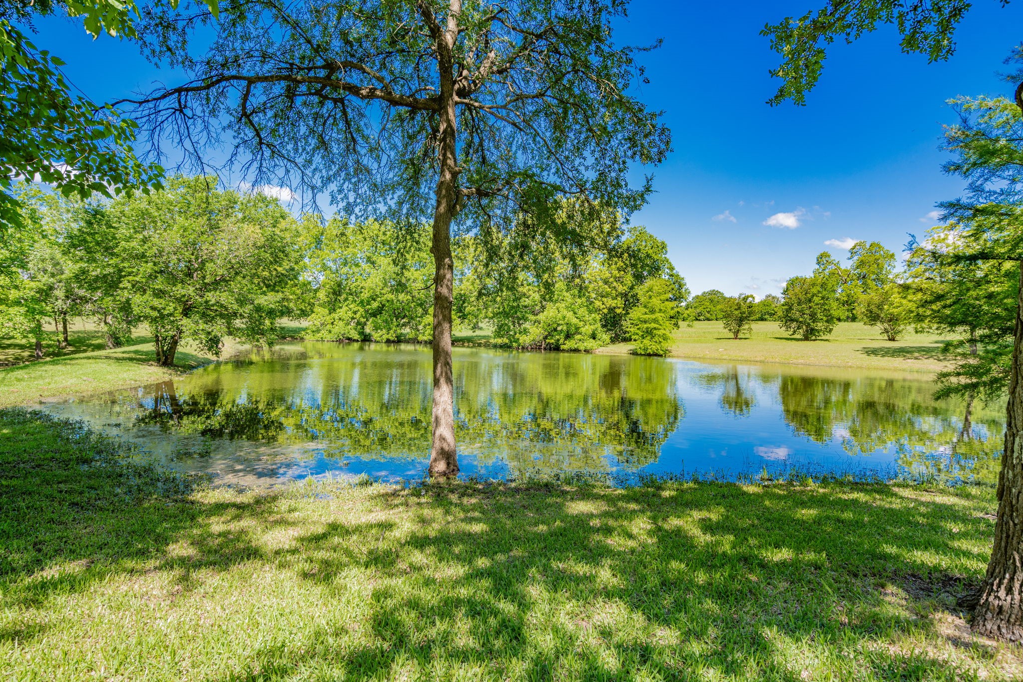 510 W Malloy Bridge Road Seagoville TX 75159