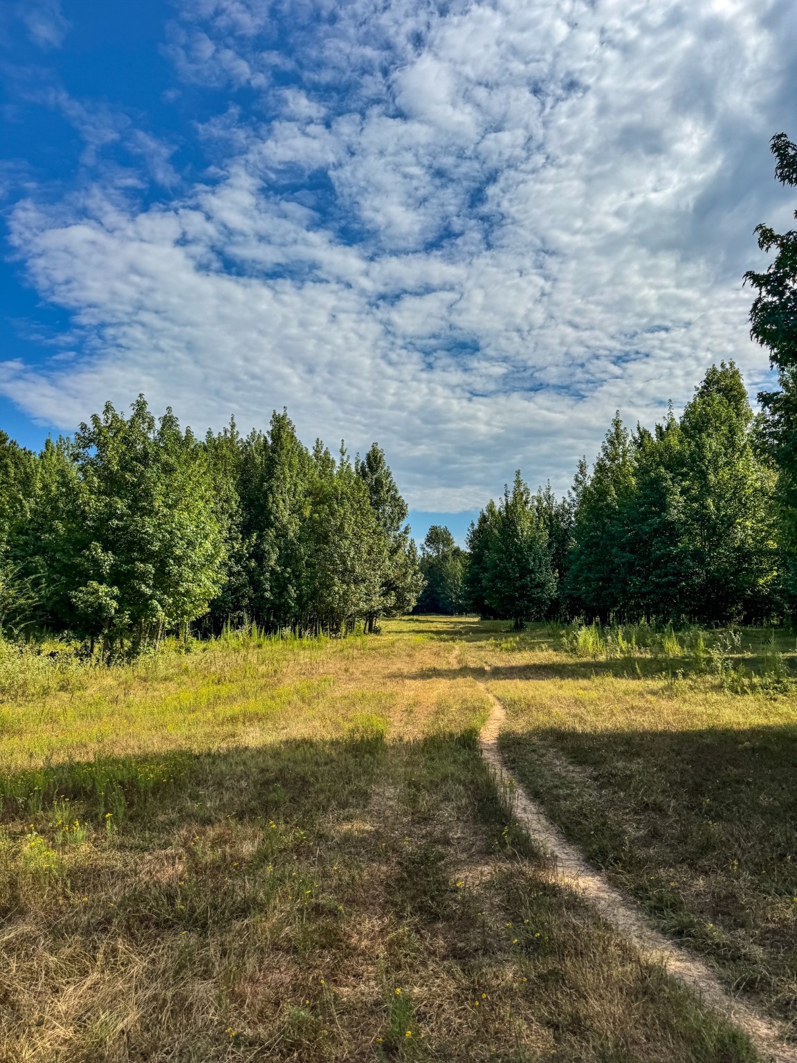 00 Highway 49 Jefferson TX 75657
