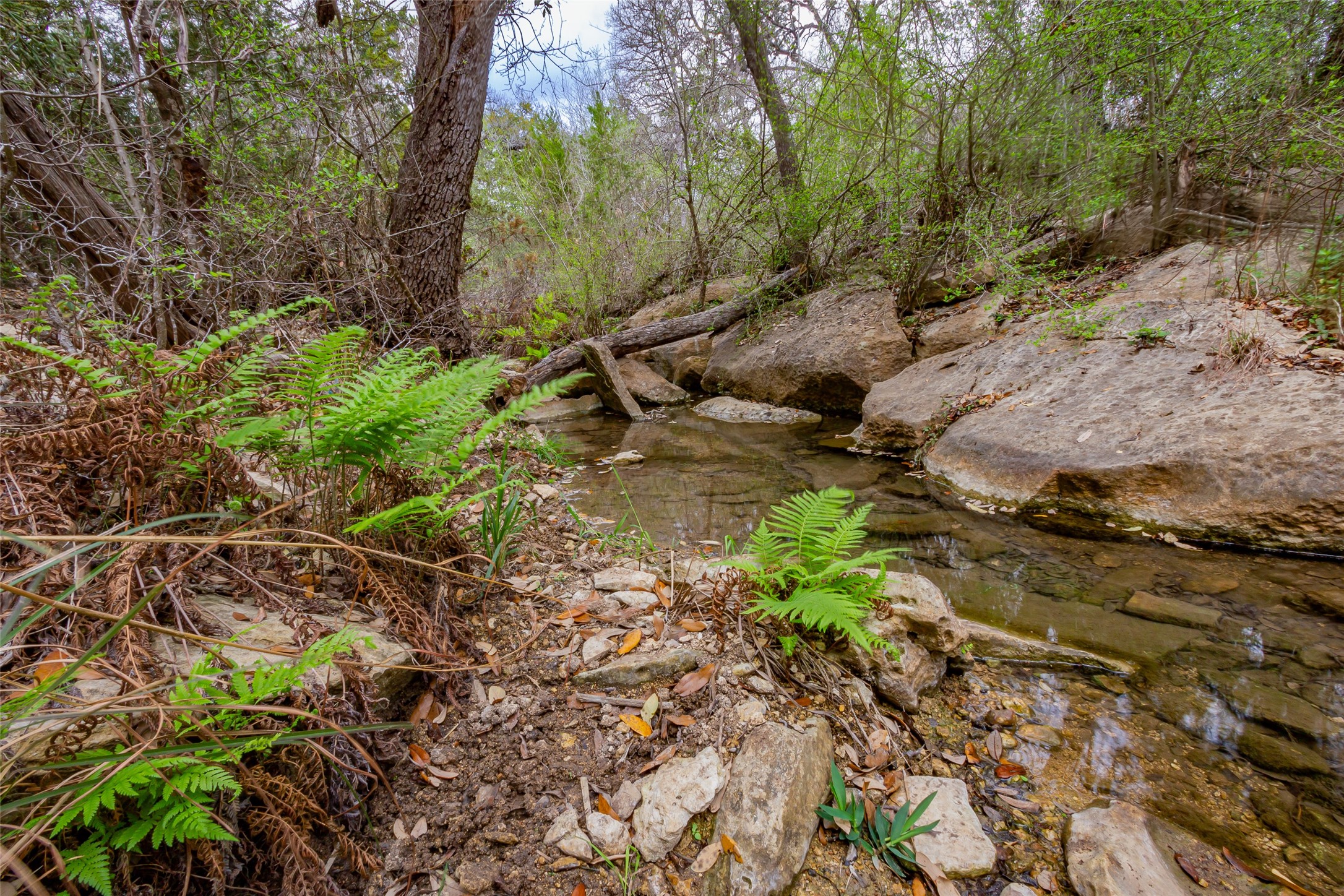 250 Mail Route Fischer TX 78623
