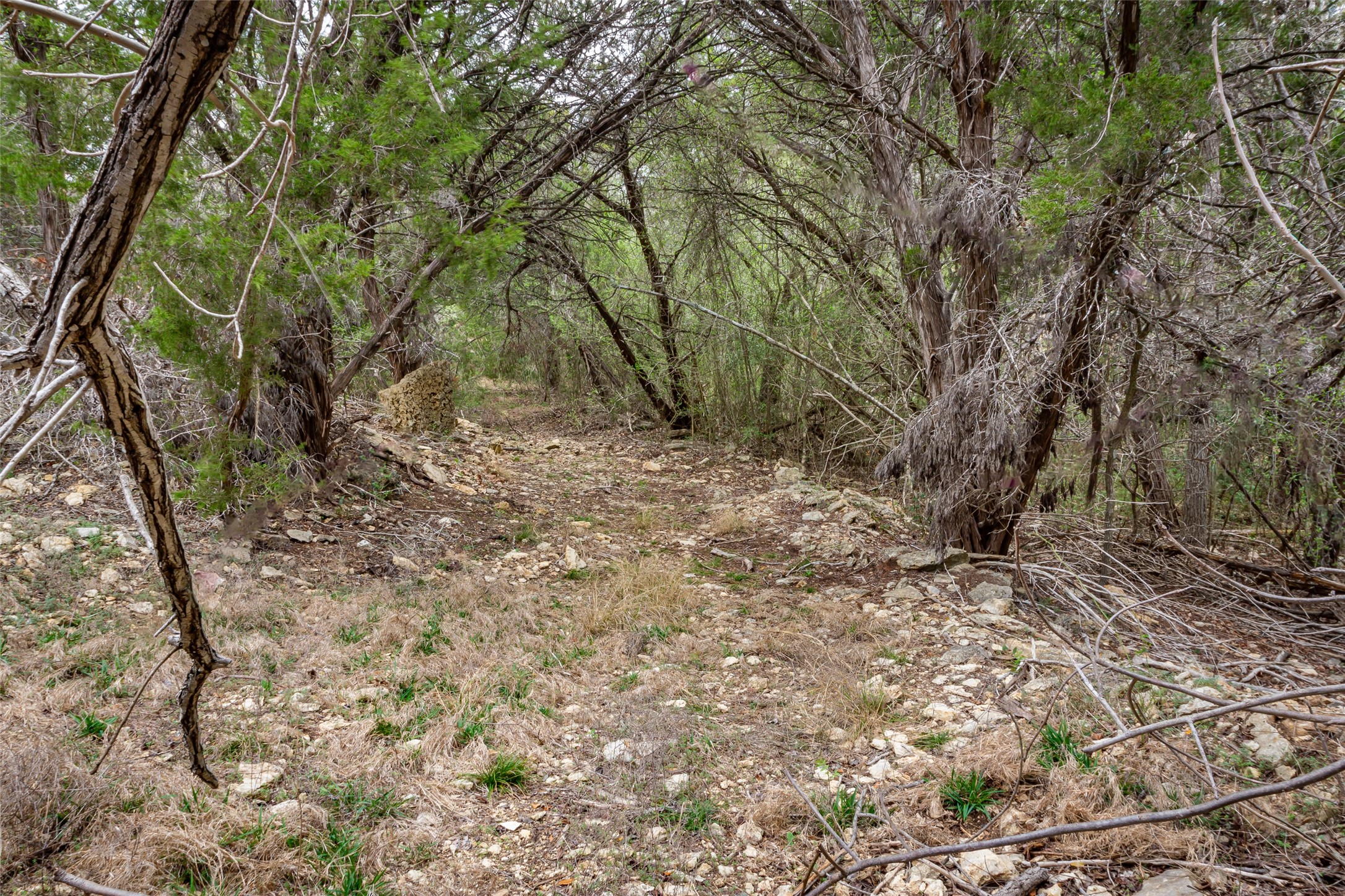 250 Mail Route Fischer TX 78623