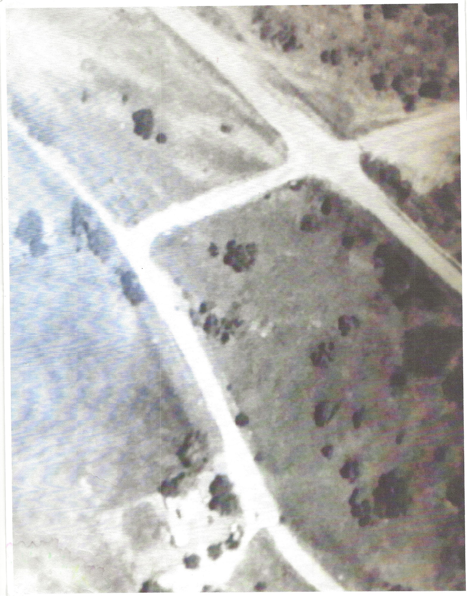250 Mail Route Fischer TX 78623
