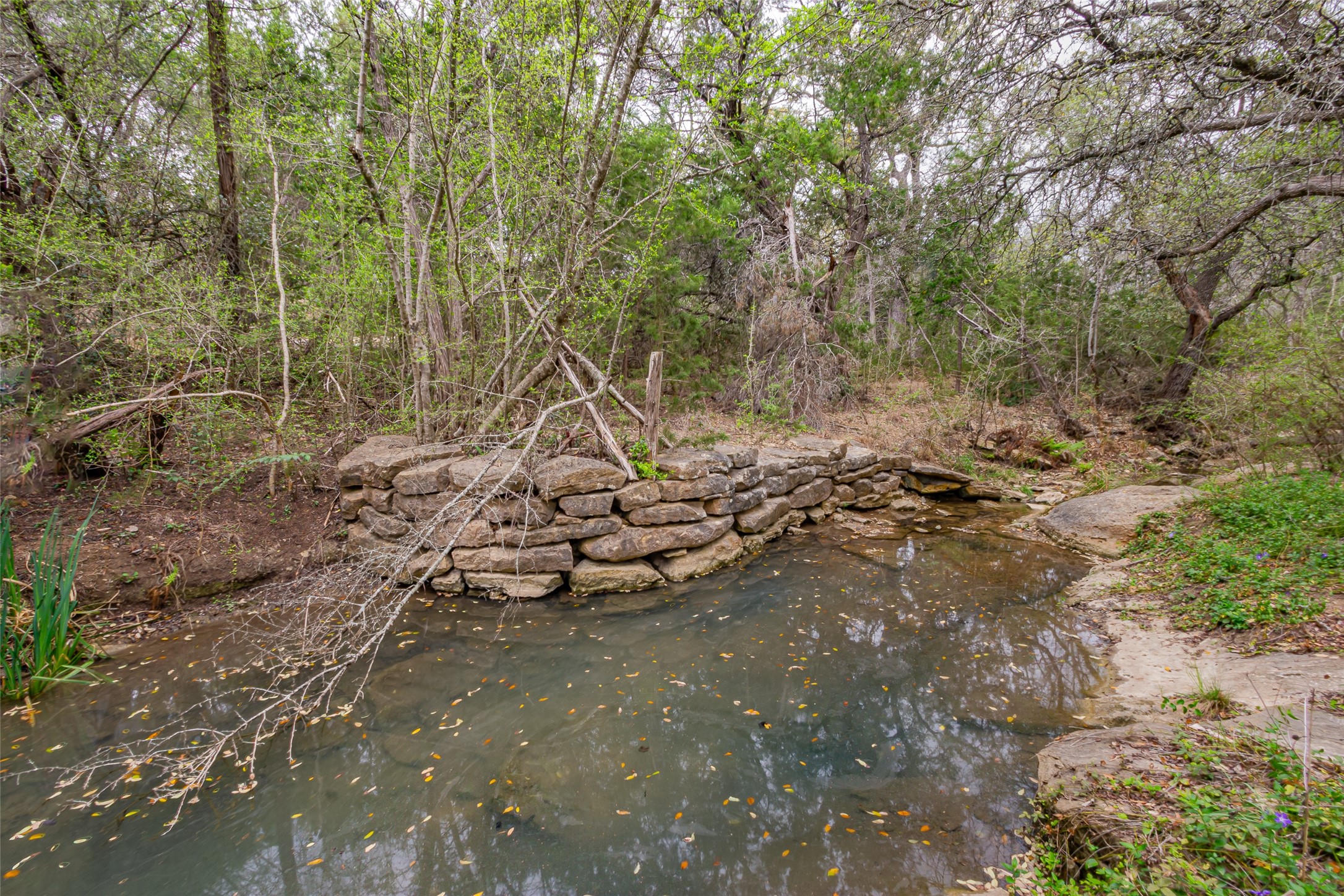 250 Mail Route Fischer TX 78623