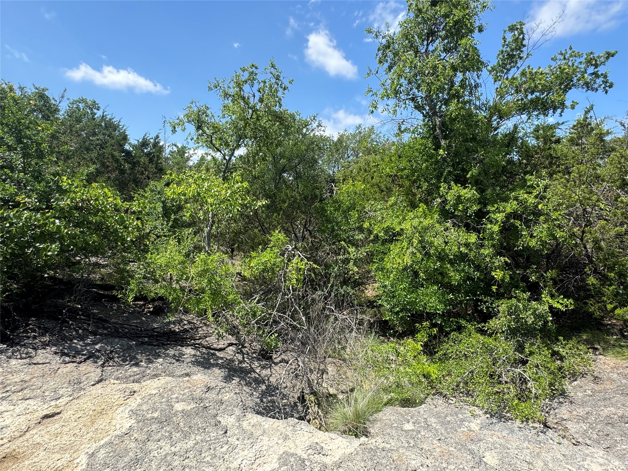 3233 Deer Path Lane Weatherford TX 76085