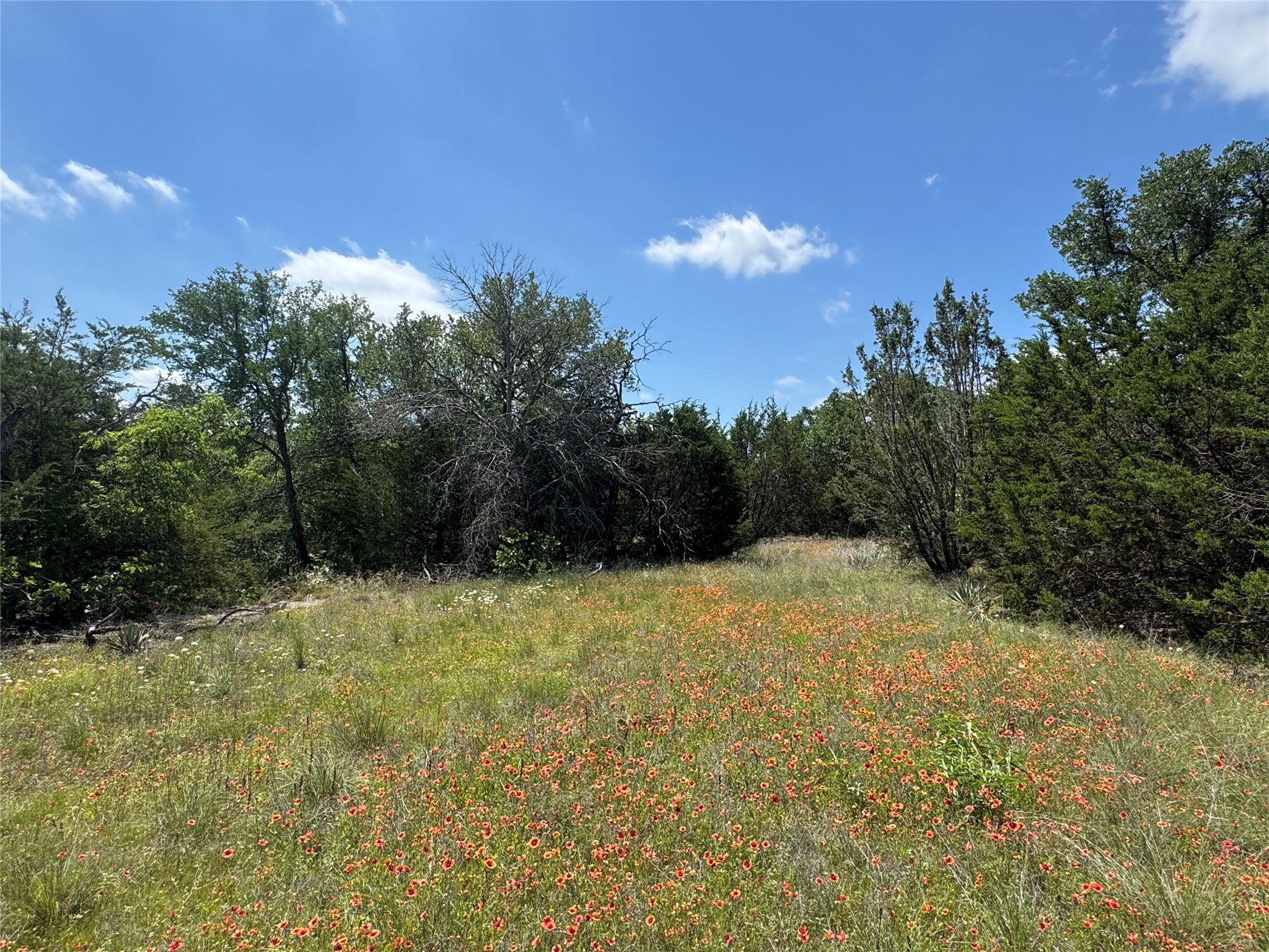 3233 Deer Path Lane Weatherford TX 76085