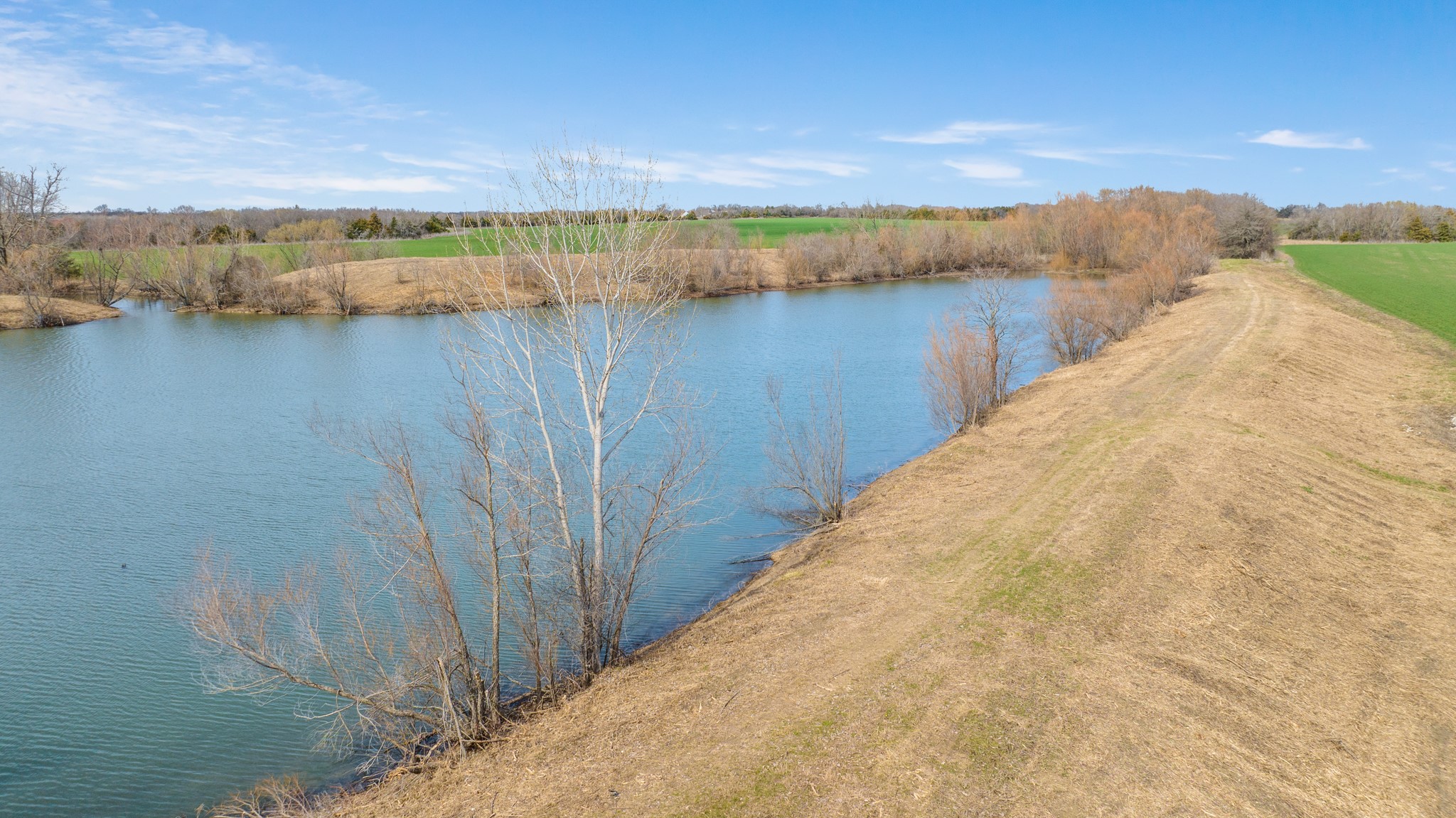 Tbd Market Street Roxton TX 75477