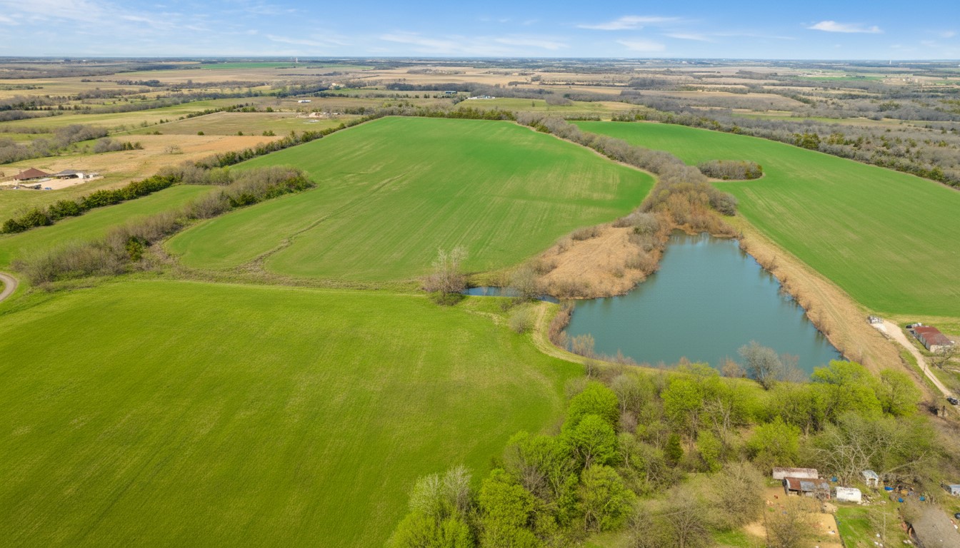 Tbd Market Street Roxton TX 75477
