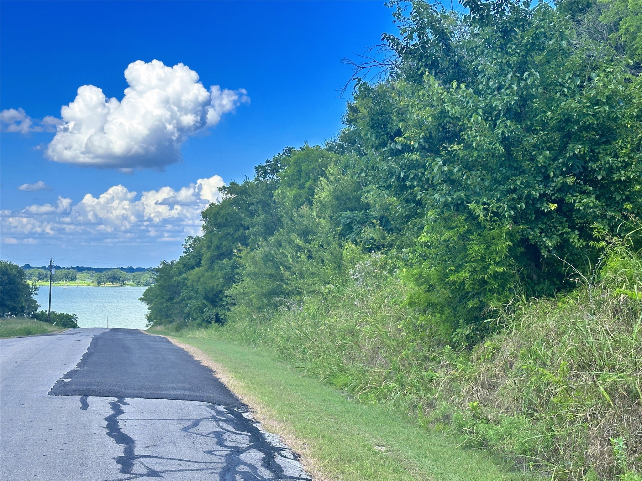 Lots 47 & 79 Bluffview Estates Road Corsicana TX 75109