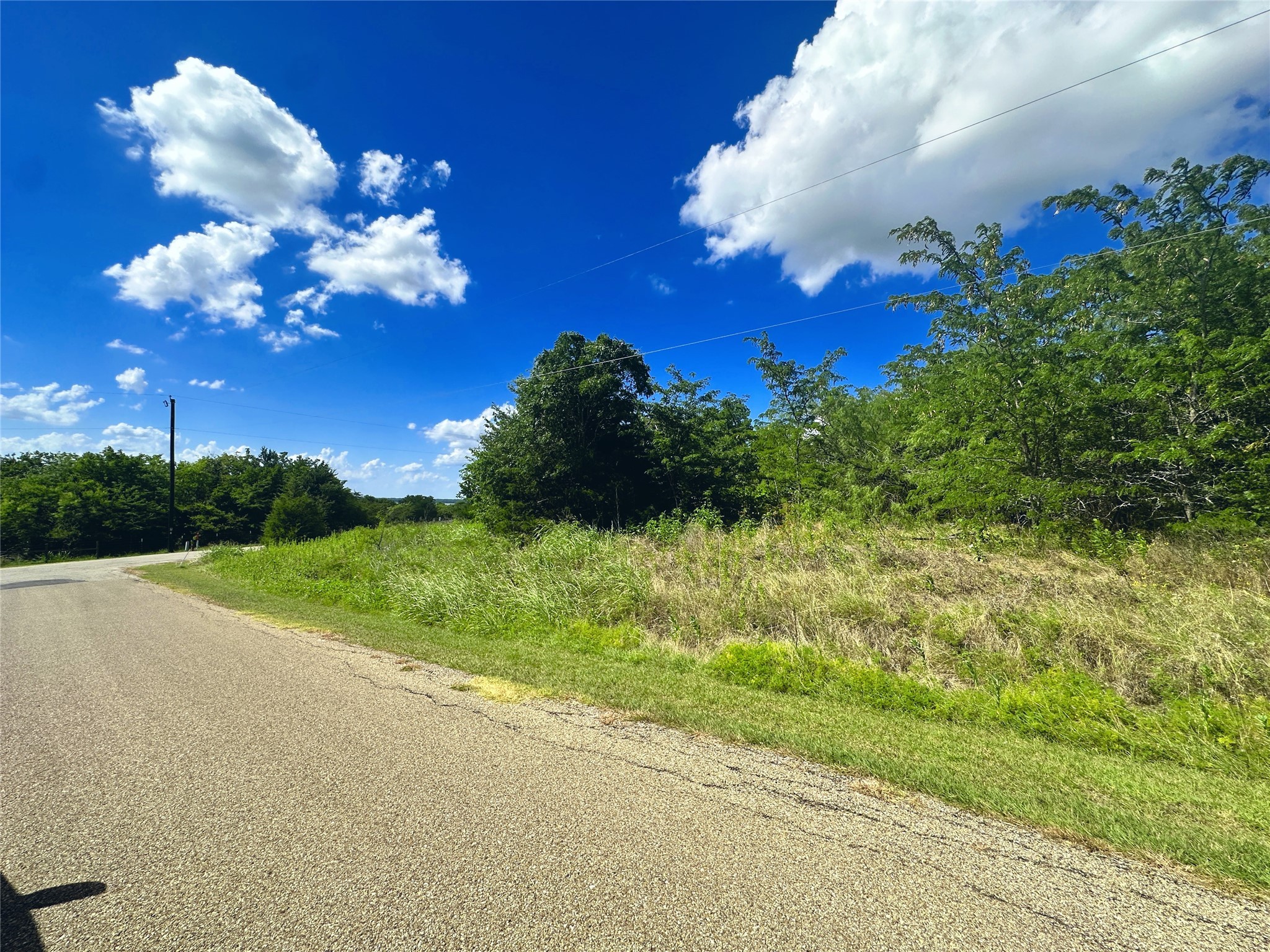 Lots 47 & 79 Bluffview Estates Road Corsicana TX 75109