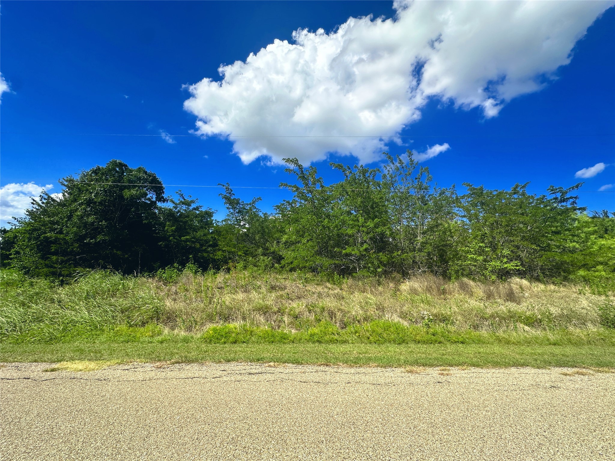 Lots 47 & 79 Bluffview Estates Road Corsicana TX 75109