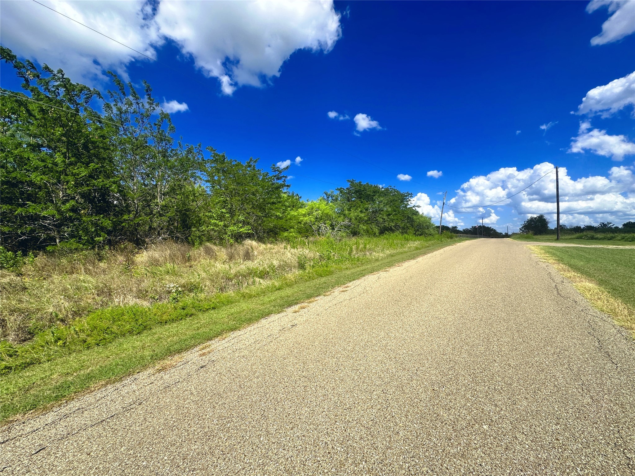 Lots 47 & 79 Bluffview Estates Road Corsicana TX 75109