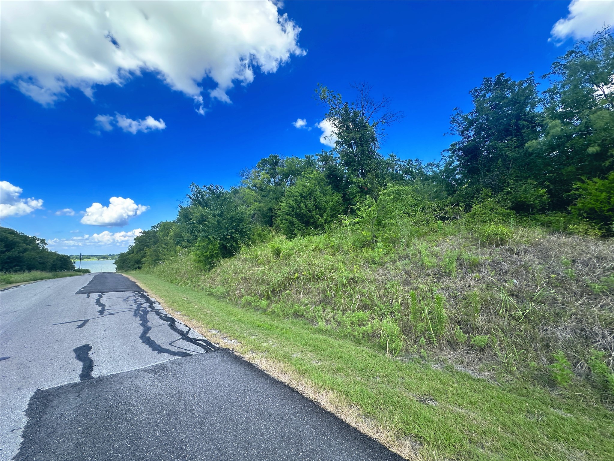 Lots 47 & 79 Bluffview Estates Road Corsicana TX 75109